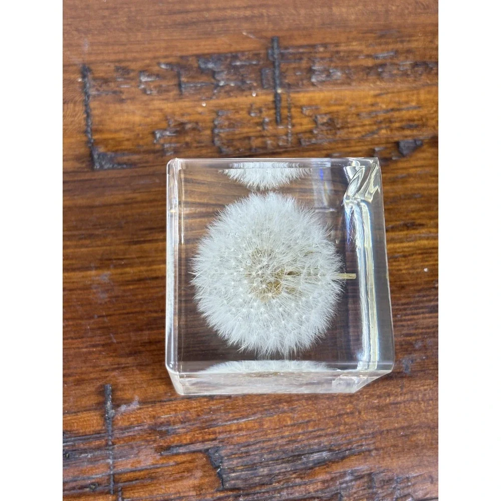Real Dandelion Resin Paperweight 2